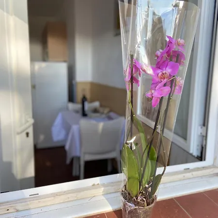 Appartement Veuras El Mar - Madrague Beach Studio 20